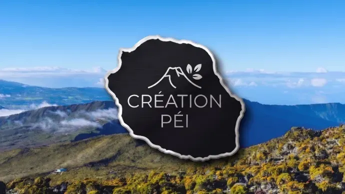 Mavelink - Création Pei