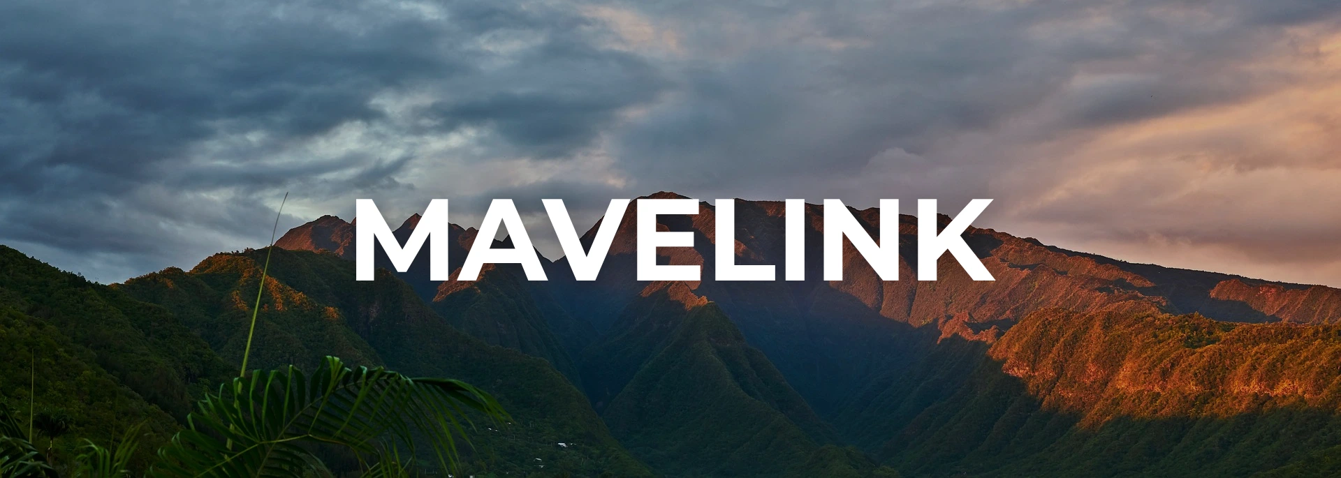 Logo Mavelink